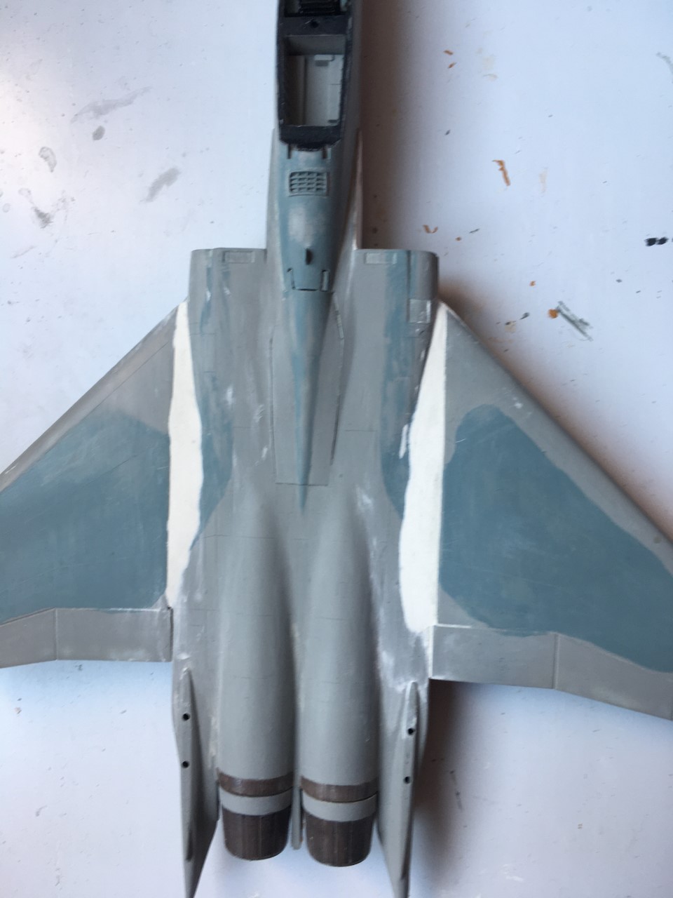  F-15J (1/72 - Hobby Craft) + F-15 (1/72 - Hasegawa) Img_2332