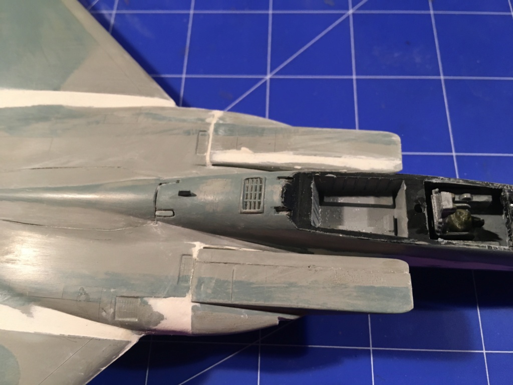  F-15J (1/72 - Hobby Craft) + F-15 (1/72 - Hasegawa) Img_3206