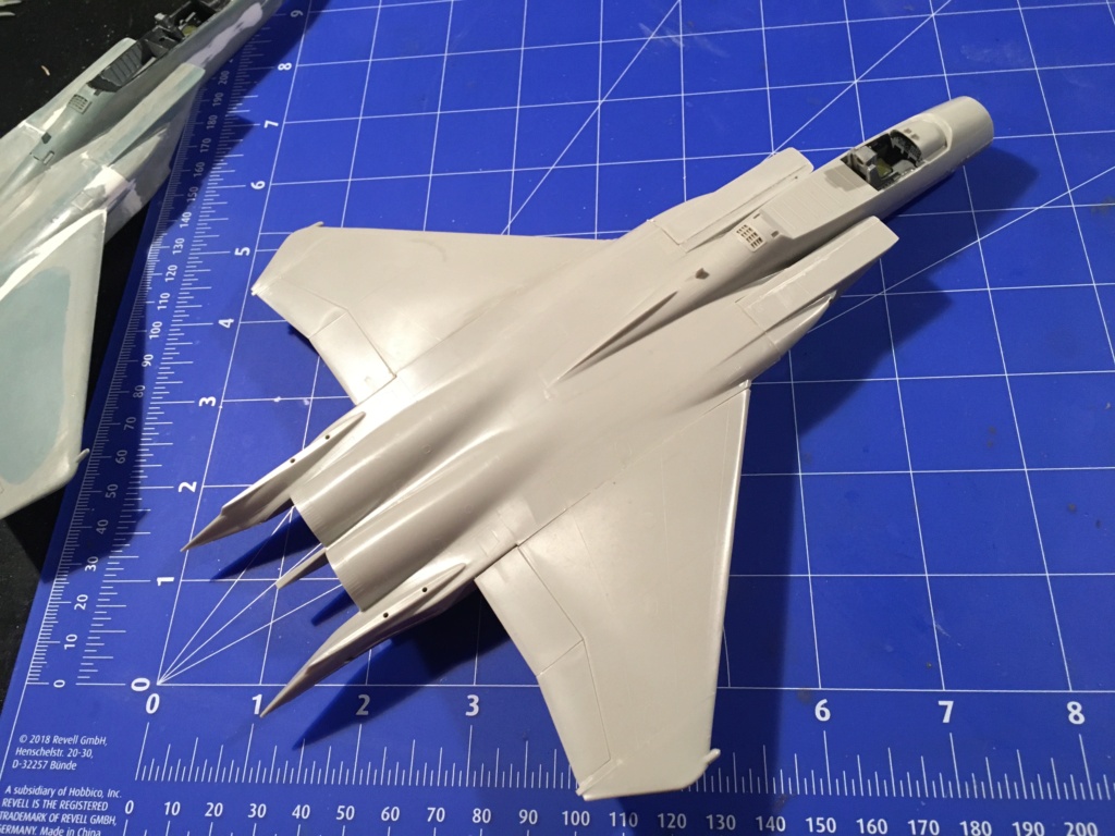  F-15J (1/72 - Hobby Craft) + F-15 (1/72 - Hasegawa) Img_3283