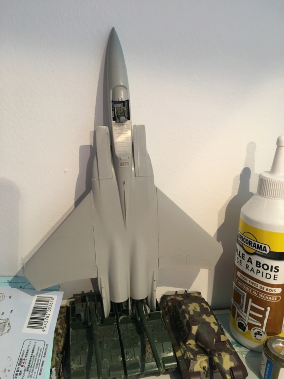  F-15J (1/72 - Hobby Craft) + F-15 (1/72 - Hasegawa) Img_3284