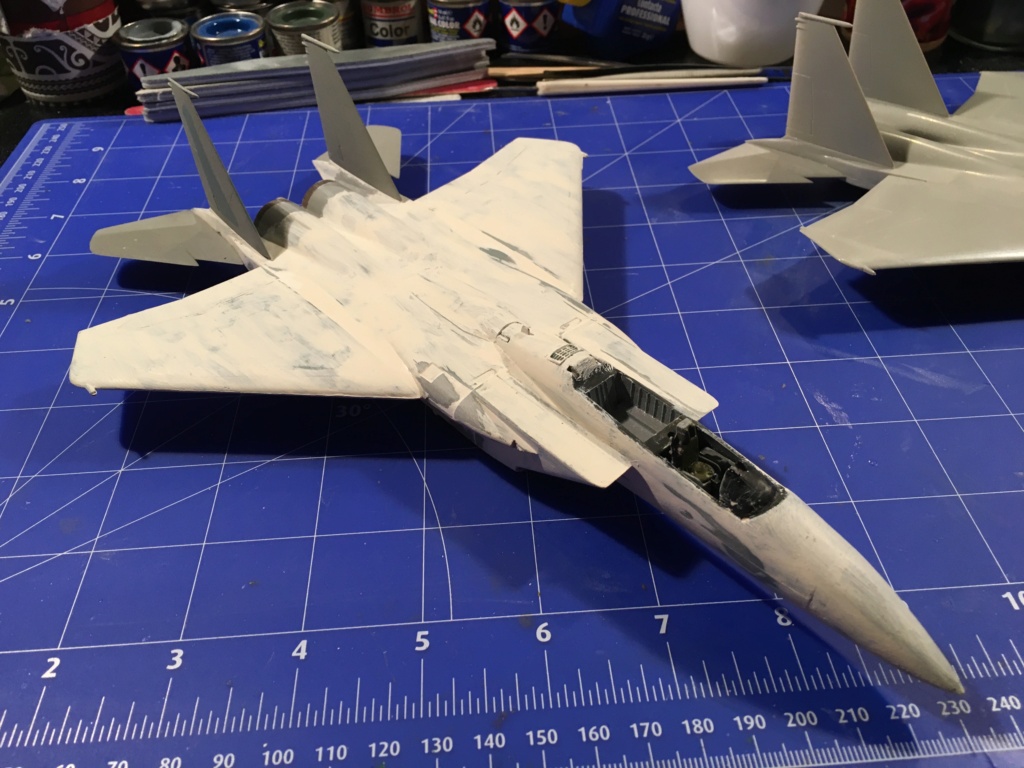  F-15J (1/72 - Hobby Craft) + F-15 (1/72 - Hasegawa) Img_3289