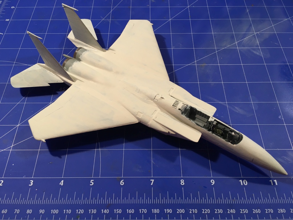 F-15J (1/72 - Hobby Craft) + F-15 (1/72 - Hasegawa) Img_3293