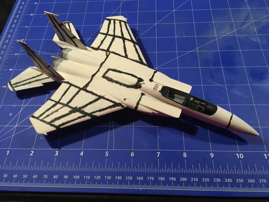  F-15J (1/72 - Hobby Craft) + F-15 (1/72 - Hasegawa) Img_3295