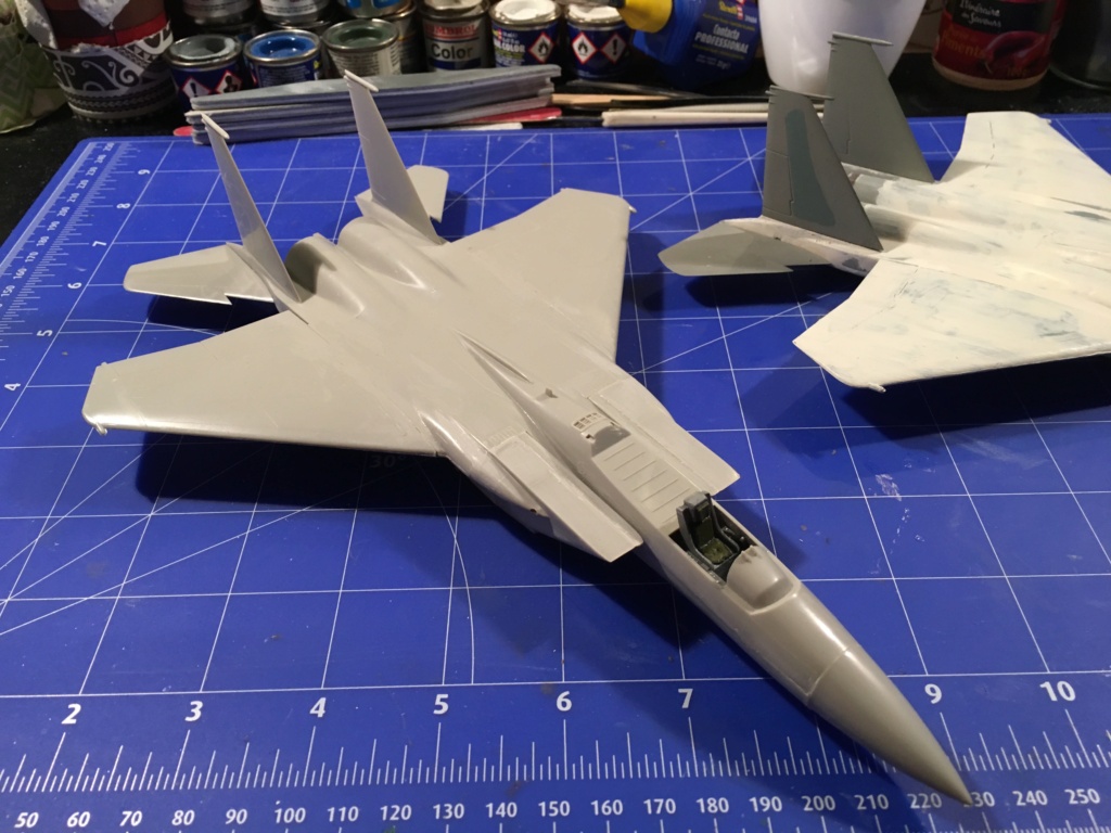  F-15J (1/72 - Hobby Craft) + F-15 (1/72 - Hasegawa) - Page 2 Img_3296