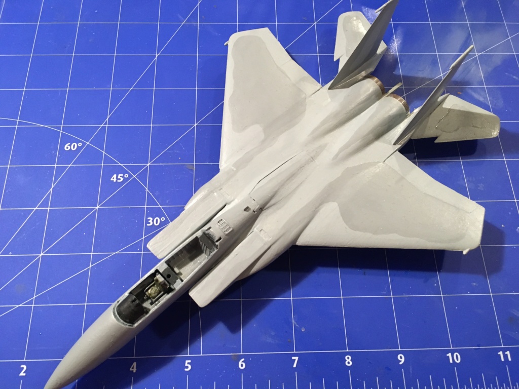  F-15J (1/72 - Hobby Craft) + F-15 (1/72 - Hasegawa) - Page 2 Img_3301