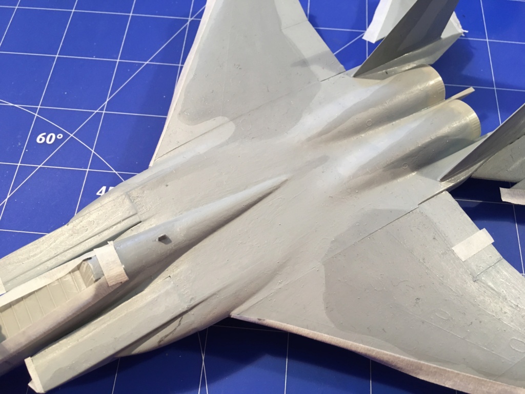  F-15J (1/72 - Hobby Craft) + F-15 (1/72 - Hasegawa) - Page 2 Img_3307