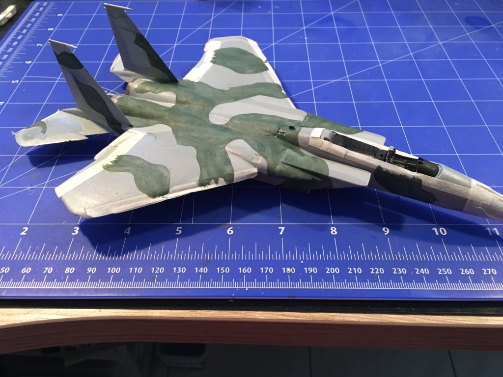 F-15J (1/72 - Hobby Craft) + F-15 (1/72 - Hasegawa) - Page 2 Img_3309