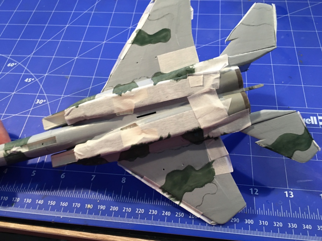  F-15J (1/72 - Hobby Craft) + F-15 (1/72 - Hasegawa) - Page 2 Img_3400