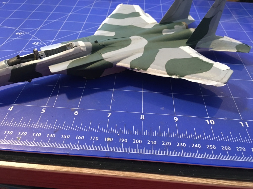  F-15J (1/72 - Hobby Craft) + F-15 (1/72 - Hasegawa) - Page 2 Img_3401