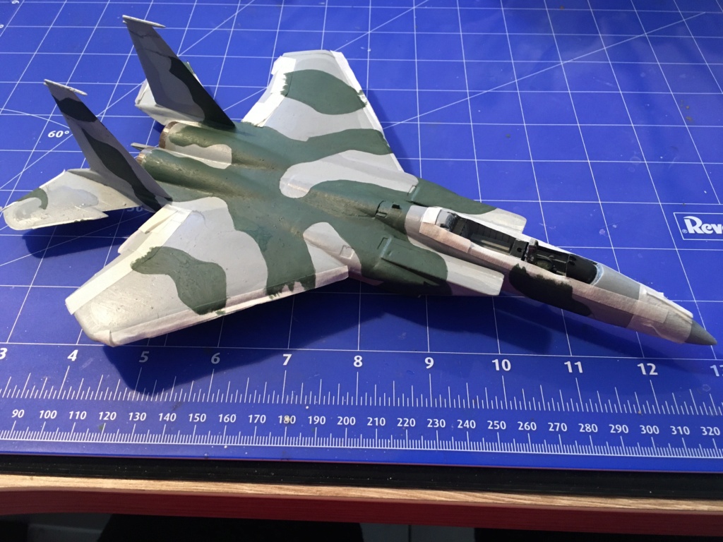  F-15J (1/72 - Hobby Craft) + F-15 (1/72 - Hasegawa) - Page 2 Img_3402