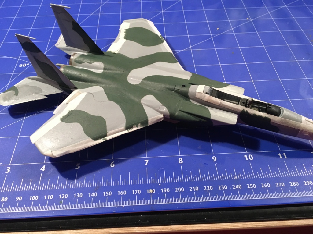  F-15J (1/72 - Hobby Craft) + F-15 (1/72 - Hasegawa) - Page 2 Img_3404