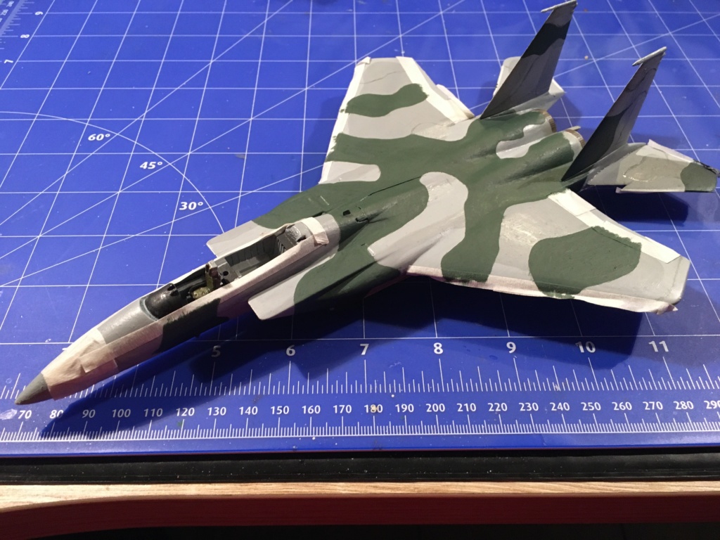  F-15J (1/72 - Hobby Craft) + F-15 (1/72 - Hasegawa) - Page 2 Img_3405