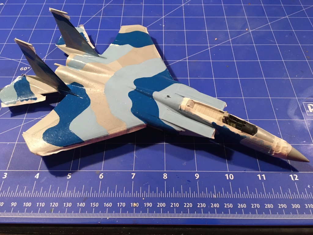  F-15J (1/72 - Hobby Craft) + F-15 (1/72 - Hasegawa) - Page 2 Img_3463