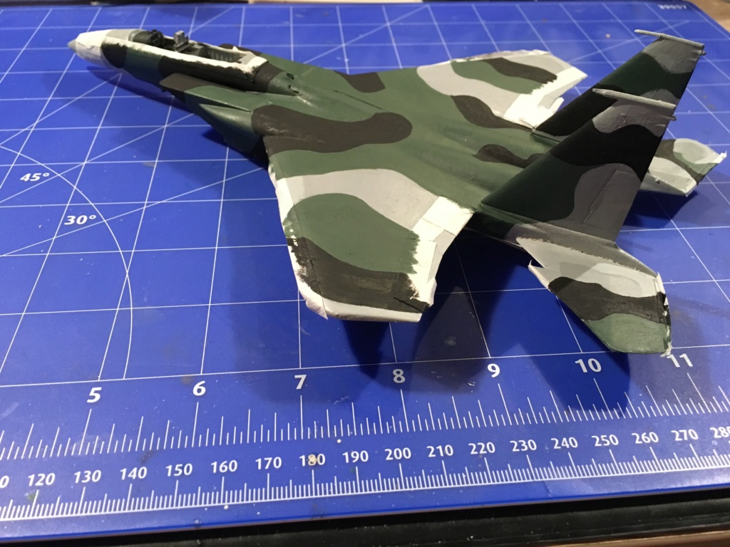  F-15J (1/72 - Hobby Craft) + F-15 (1/72 - Hasegawa) - Page 2 Img_3465