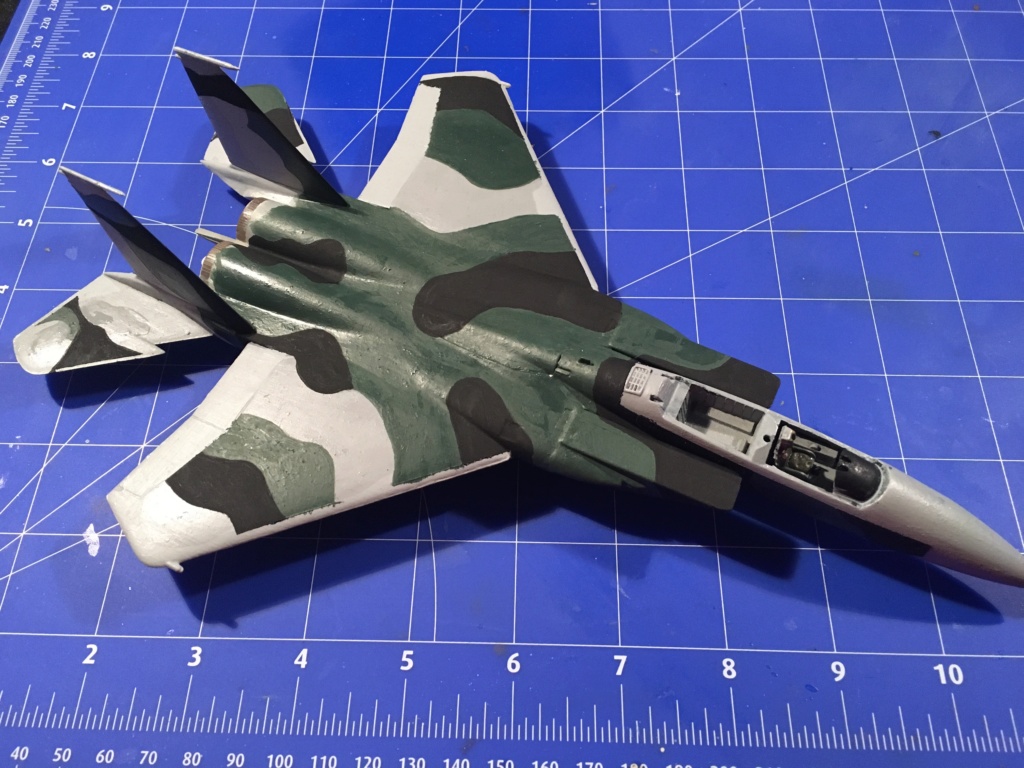  F-15J (1/72 - Hobby Craft) + F-15 (1/72 - Hasegawa) - Page 2 Img_3471