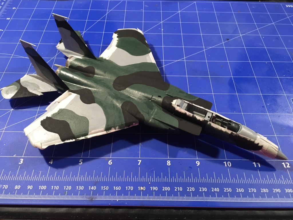  F-15J (1/72 - Hobby Craft) + F-15 (1/72 - Hasegawa) - Page 2 Img_3472