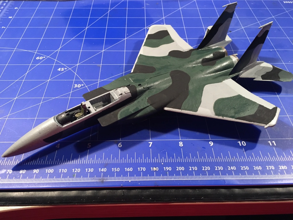  F-15J (1/72 - Hobby Craft) + F-15 (1/72 - Hasegawa) - Page 2 Img_3473