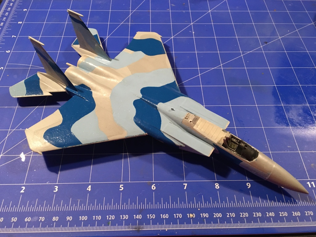  F-15J (1/72 - Hobby Craft) + F-15 (1/72 - Hasegawa) - Page 2 Img_3474