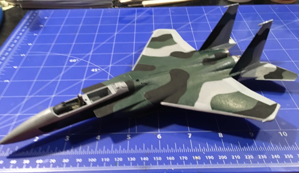  F-15J (1/72 - Hobby Craft) + F-15 (1/72 - Hasegawa) - Page 2 Img_3478