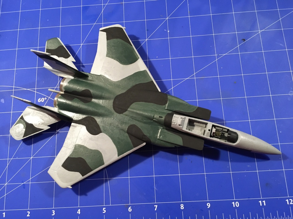  F-15J (1/72 - Hobby Craft) + F-15 (1/72 - Hasegawa) - Page 2 Img_3479