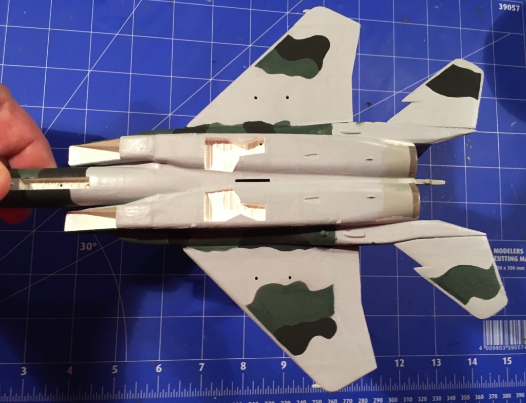  F-15J (1/72 - Hobby Craft) + F-15 (1/72 - Hasegawa) - Page 2 Img_3480