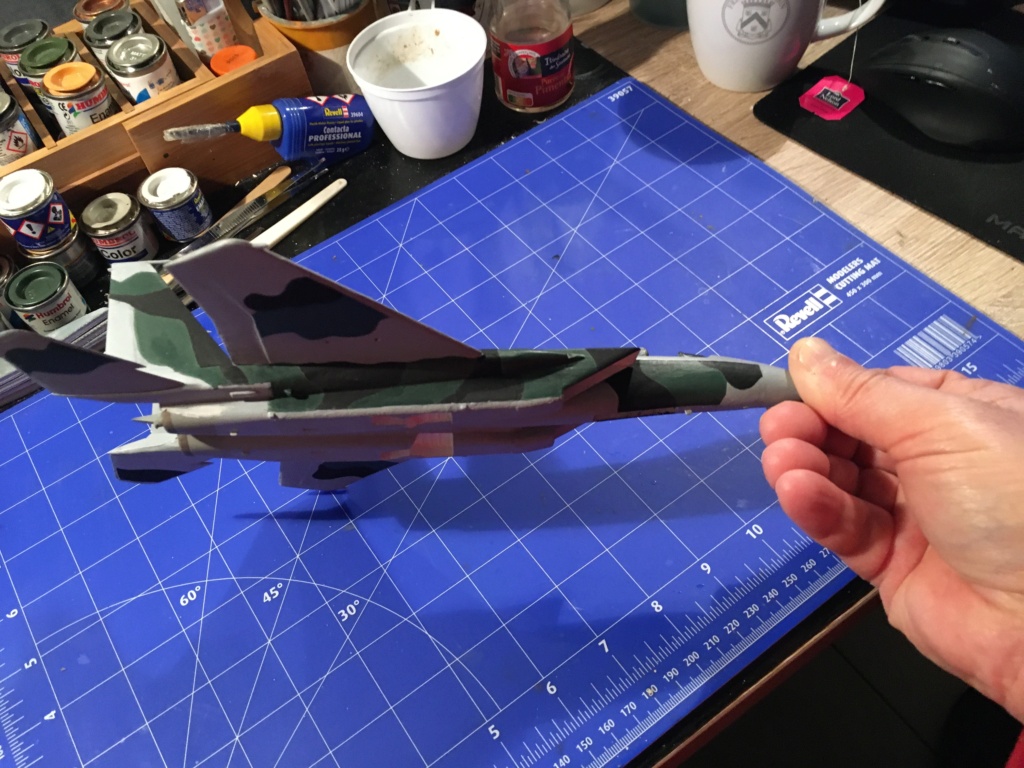  F-15J (1/72 - Hobby Craft) + F-15 (1/72 - Hasegawa) - Page 2 Img_3481