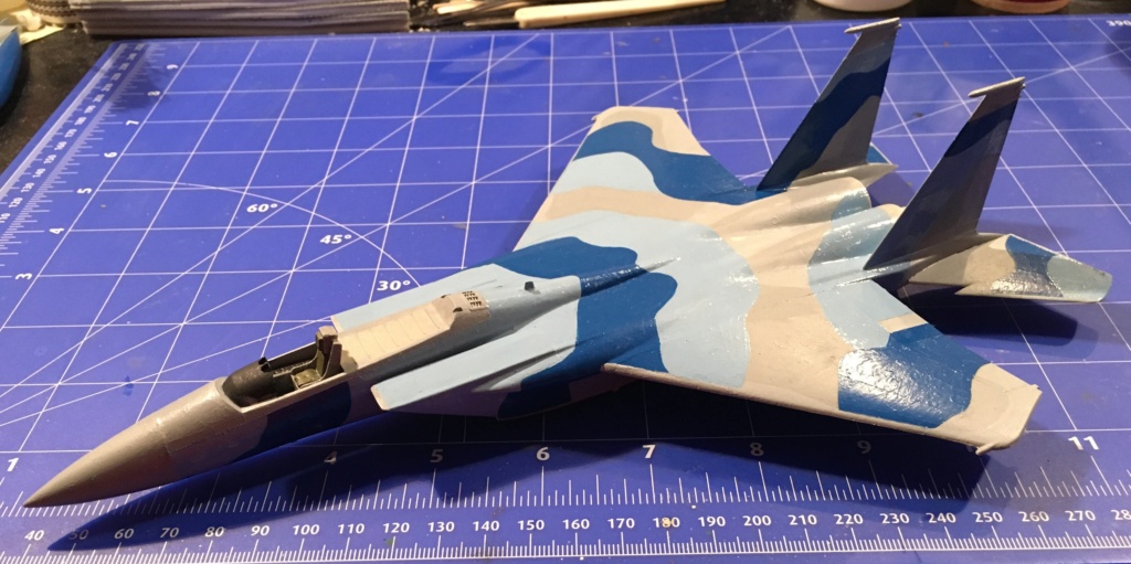  F-15J (1/72 - Hobby Craft) + F-15 (1/72 - Hasegawa) - Page 2 Img_3483