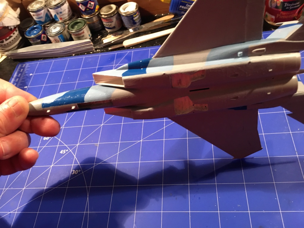  F-15J (1/72 - Hobby Craft) + F-15 (1/72 - Hasegawa) - Page 2 Img_3486