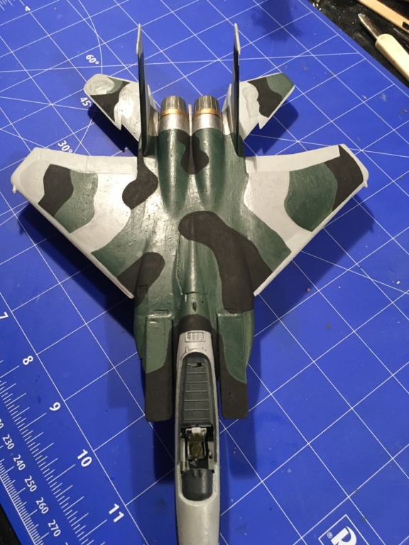  F-15J (1/72 - Hobby Craft) + F-15 (1/72 - Hasegawa) - Page 2 Img_3494