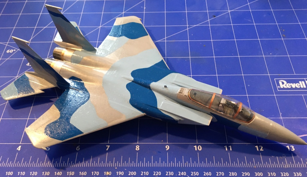  F-15J (1/72 - Hobby Craft) + F-15 (1/72 - Hasegawa) - Page 3 Img_3498
