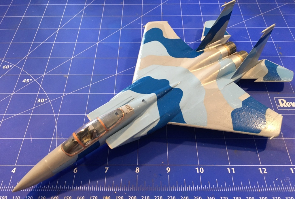  F-15J (1/72 - Hobby Craft) + F-15 (1/72 - Hasegawa) - Page 3 Img_3499