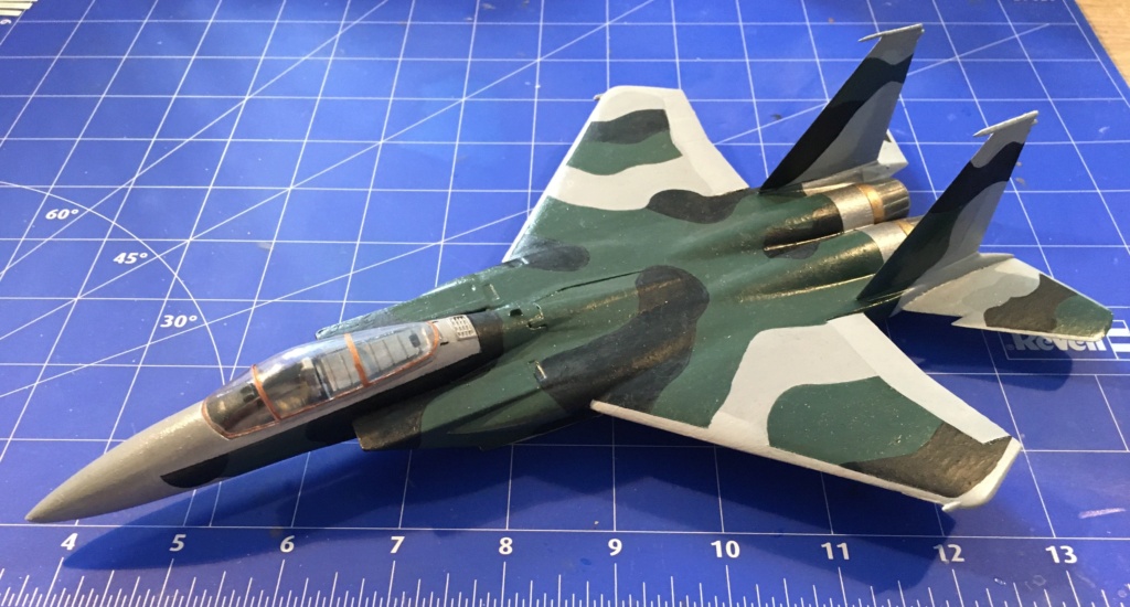  F-15J (1/72 - Hobby Craft) + F-15 (1/72 - Hasegawa) - Page 3 Img_3500