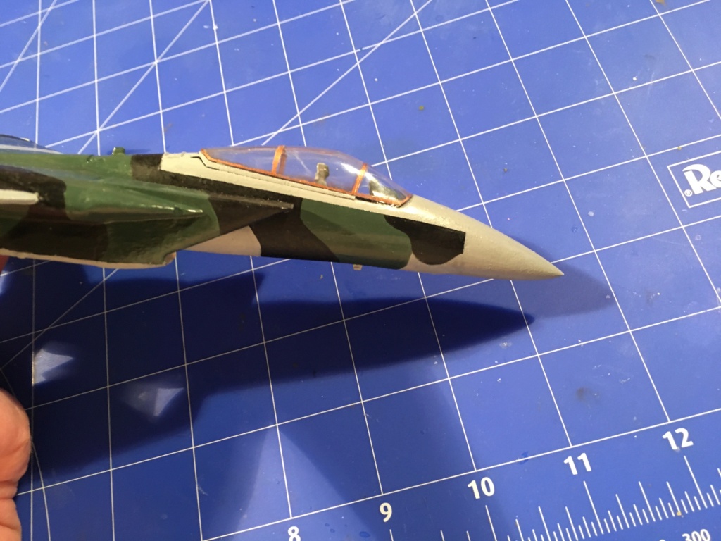  F-15J (1/72 - Hobby Craft) + F-15 (1/72 - Hasegawa) - Page 3 Img_3501