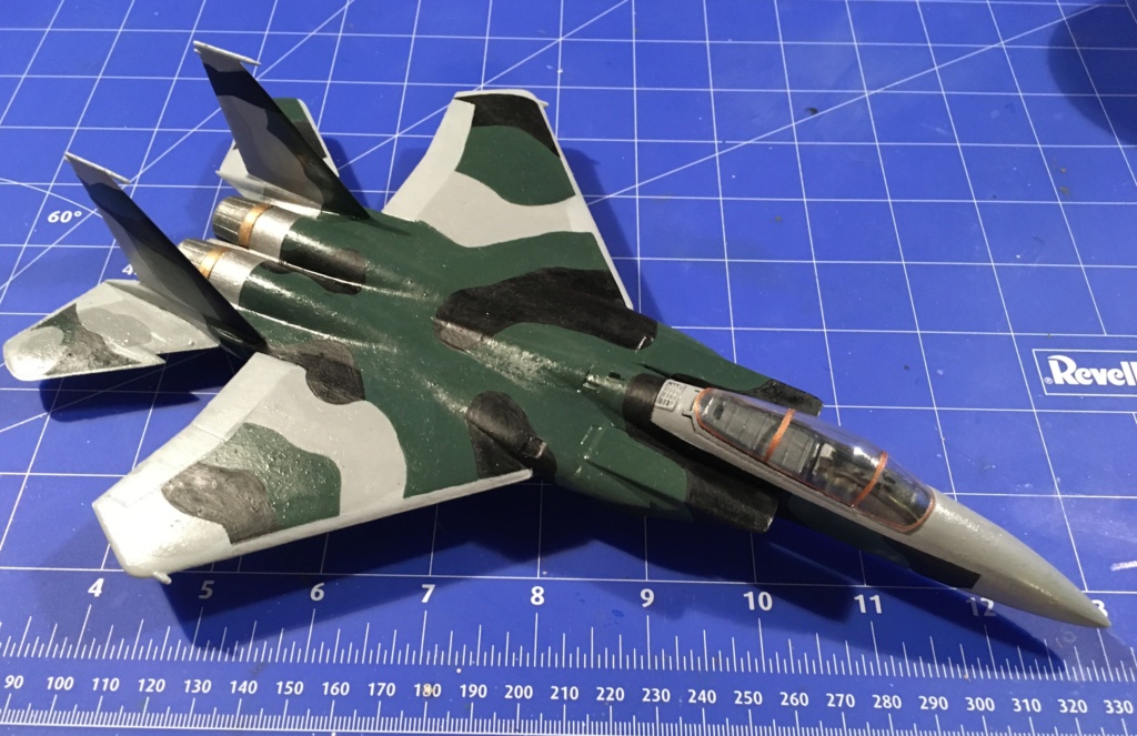  F-15J (1/72 - Hobby Craft) + F-15 (1/72 - Hasegawa) - Page 3 Img_3502
