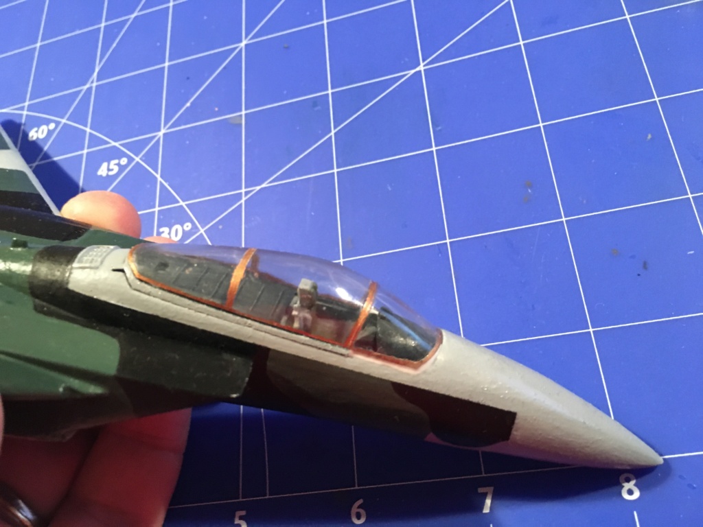  F-15J (1/72 - Hobby Craft) + F-15 (1/72 - Hasegawa) - Page 3 Img_3503