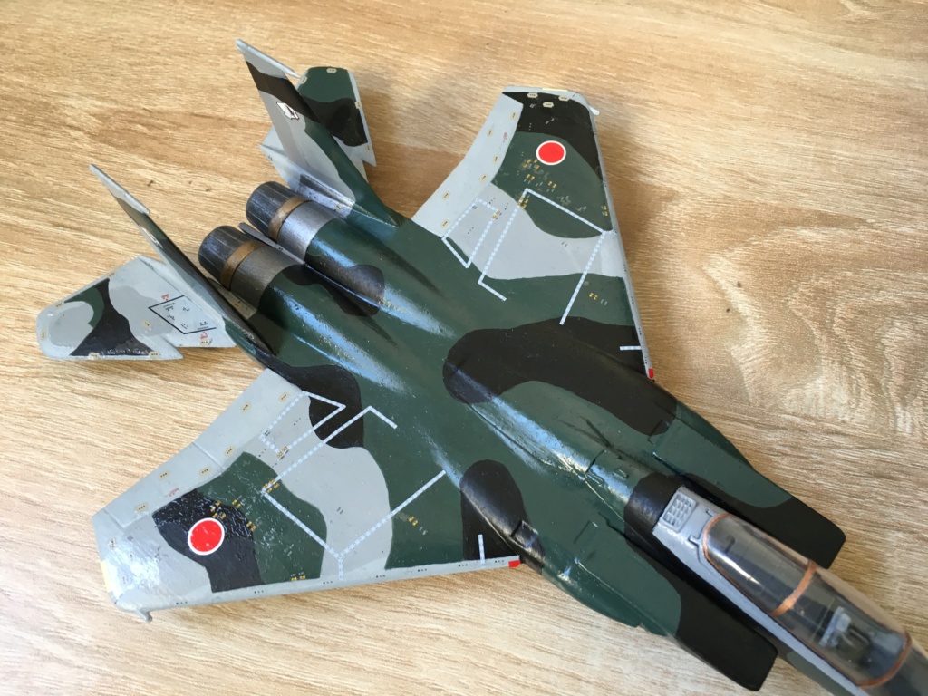  F-15J (1/72 - Hobby Craft) + F-15 (1/72 - Hasegawa) - Page 3 Img_3543