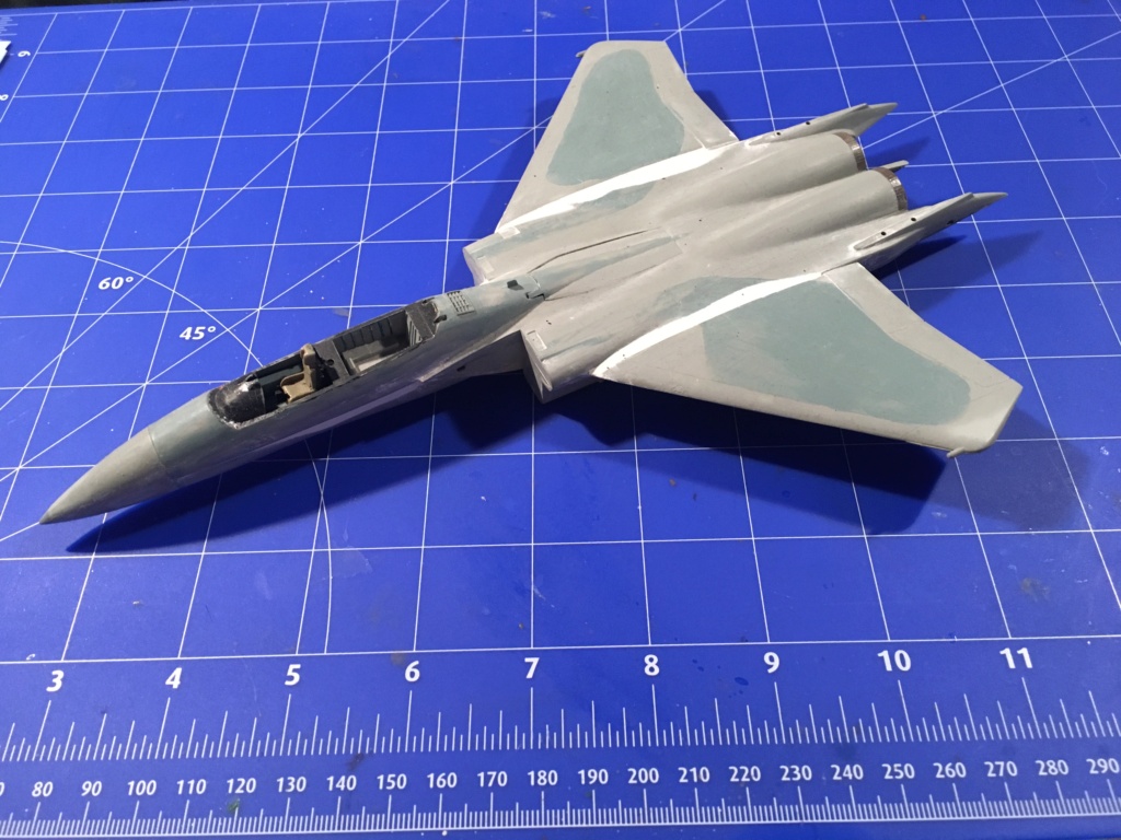  F-15J (1/72 - Hobby Craft) + F-15 (1/72 - Hasegawa) Img_3791