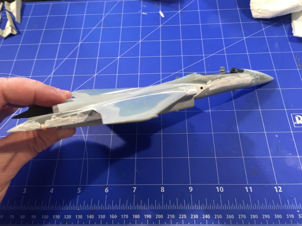  F-15J (1/72 - Hobby Craft) + F-15 (1/72 - Hasegawa) Img_3793