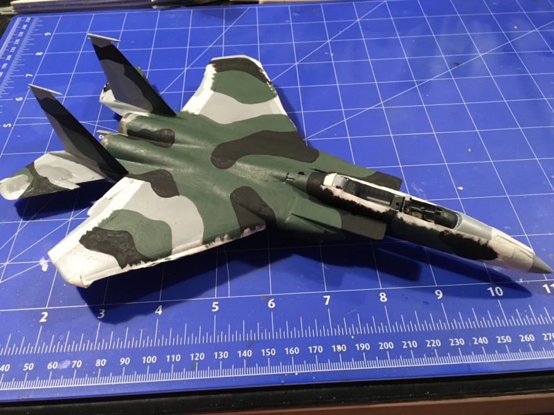 [Hobby Craft] F-15J Aggressor 2---FINI - Page 4 Img_3851