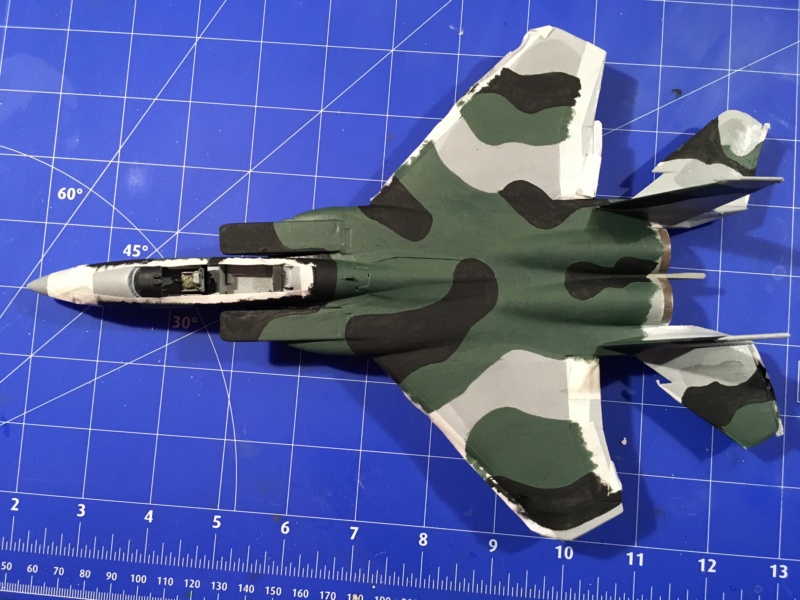 [Hobby Craft] F-15J Aggressor 2---FINI - Page 4 Img_3852