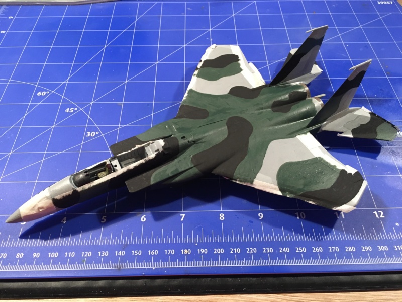 [Hobby Craft] F-15J Aggressor 2---FINI - Page 4 Img_3865