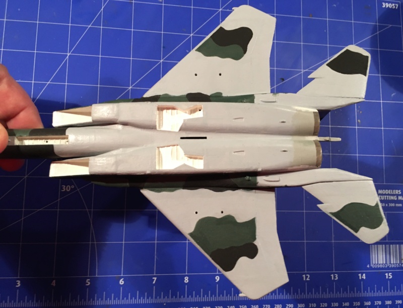 [Hobby Craft] F-15J Aggressor 2---FINI - Page 4 Img_3874