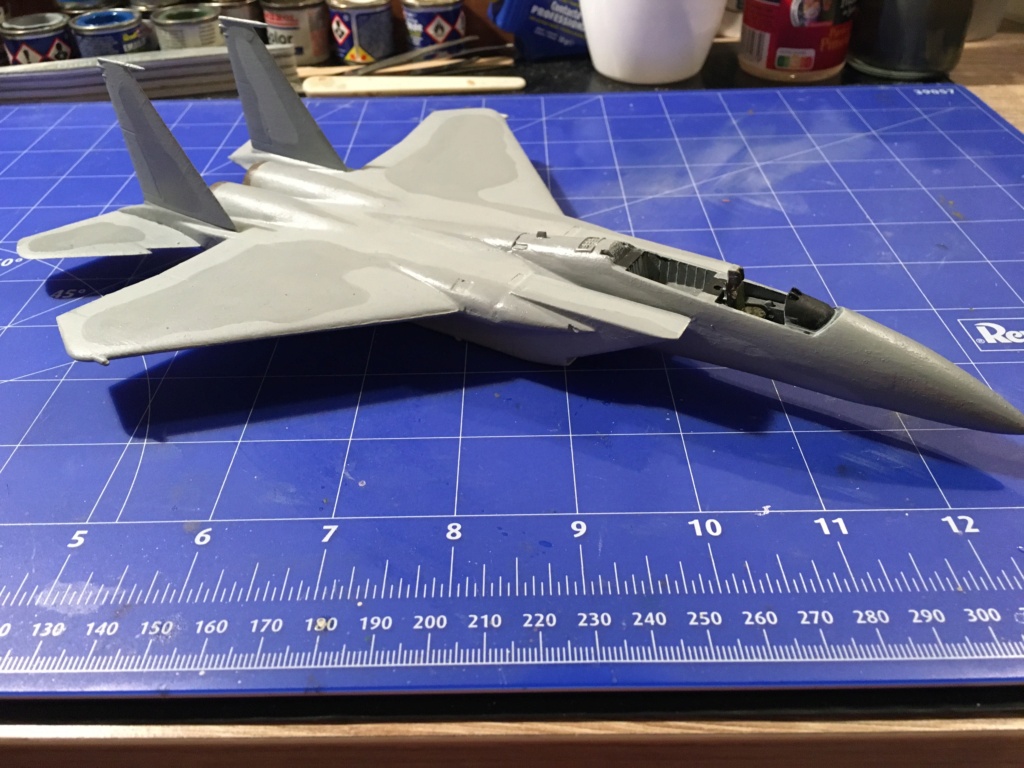  F-15J (1/72 - Hobby Craft) + F-15 (1/72 - Hasegawa) - Page 2 Img_3889