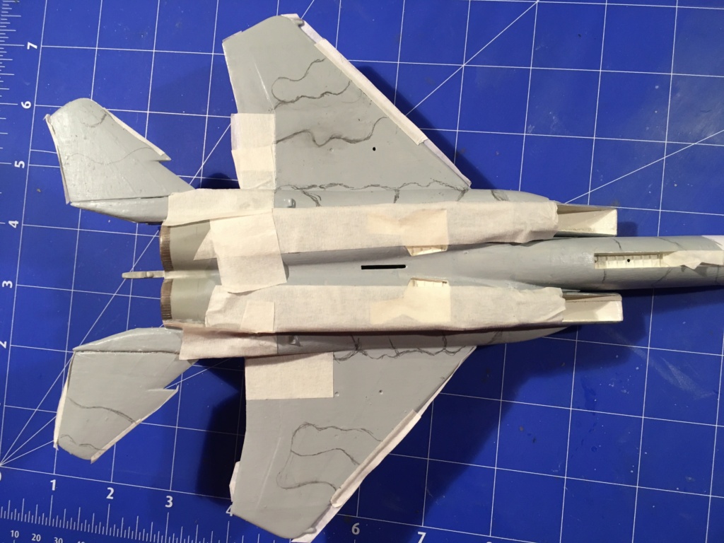  F-15J (1/72 - Hobby Craft) + F-15 (1/72 - Hasegawa) - Page 2 Img_3894
