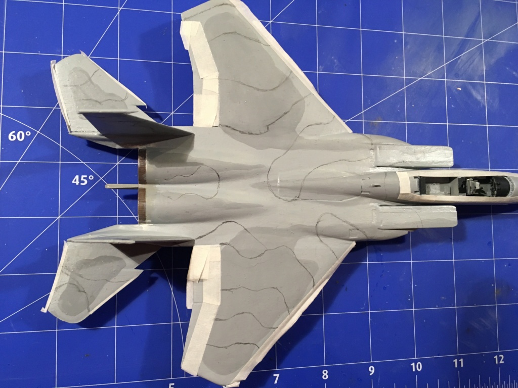  F-15J (1/72 - Hobby Craft) + F-15 (1/72 - Hasegawa) - Page 2 Img_3895