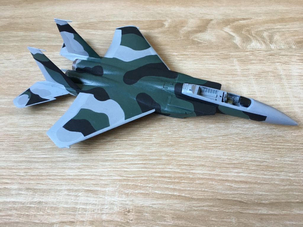  F-15J (1/72 - Hobby Craft) + F-15 (1/72 - Hasegawa) - Page 2 Img_3978