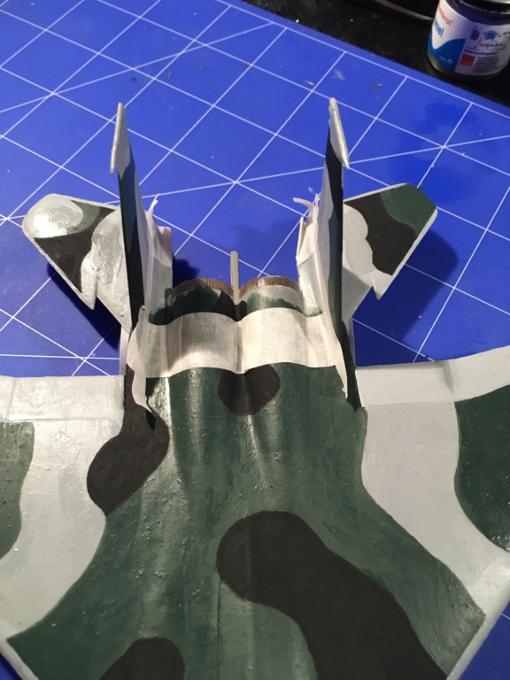  F-15J (1/72 - Hobby Craft) + F-15 (1/72 - Hasegawa) - Page 2 Img_3981