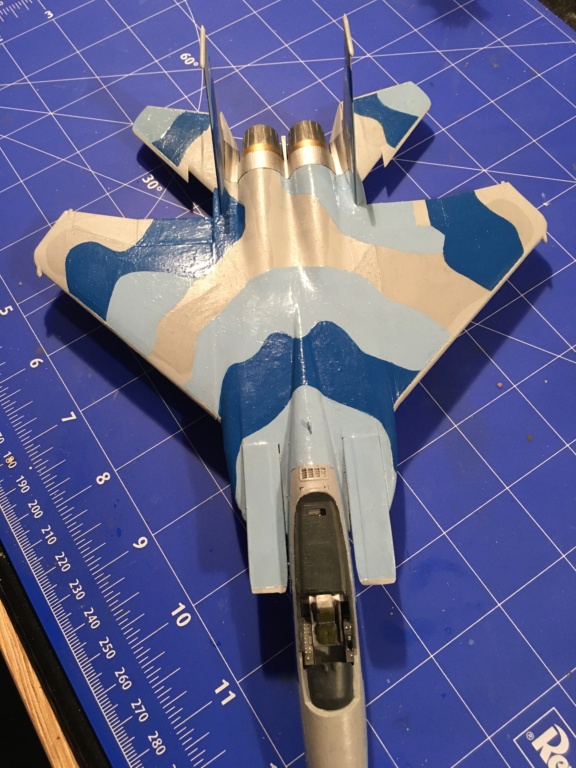  F-15J (1/72 - Hobby Craft) + F-15 (1/72 - Hasegawa) - Page 2 Img_3998