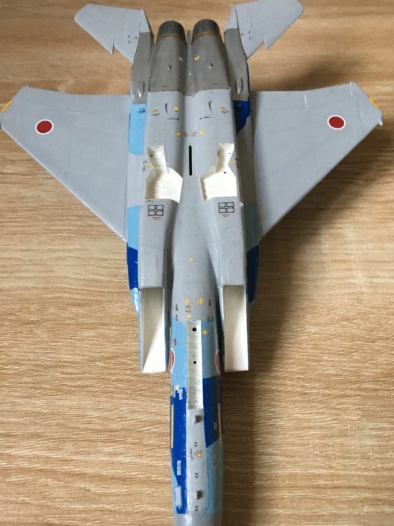  F-15J (1/72 - Hobby Craft) + F-15 (1/72 - Hasegawa) - Page 3 Img_4089