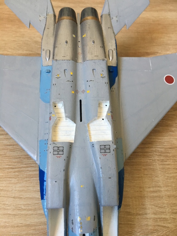  F-15J (1/72 - Hobby Craft) + F-15 (1/72 - Hasegawa) - Page 3 Img_4093